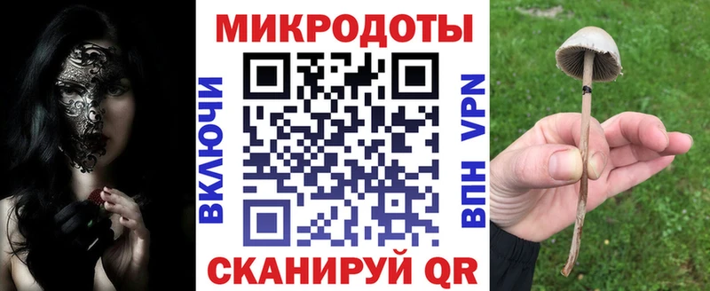 продажа наркотиков  Зверево  Галлюциногенные грибы мицелий 